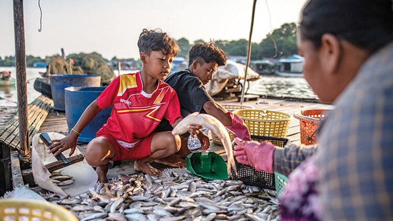 市内周辺観光コース(P5)