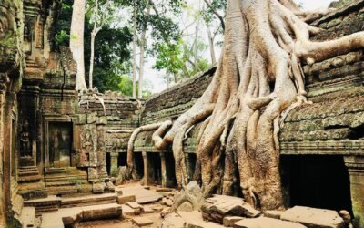 アンジェェリナジョリがトウムレダを撮影していたタプローム遺跡です。アンコール遺跡の中でも最も有名です。是非お勧め致しますー！