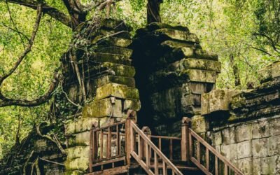 カンボジア北東部の深い森の中に、時の流れに静かに抱かれた神秘の遺跡が佇んでいます。それがベンメリア遺跡です。