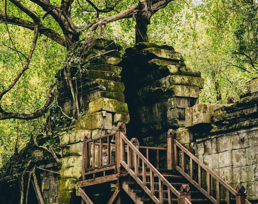 カンボジア北東部の深い森の中に、時の流れに静かに抱かれた神秘の遺跡が佇んでいます。それがベンメリア遺跡です。