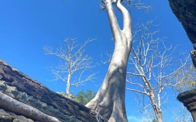 タプローム遺跡ではこの様に素晴らしい写真が撮れますよ！