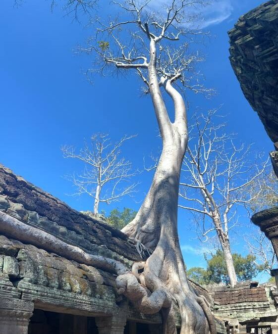 タプローム遺跡ではこの様に素晴らしい写真が撮れますよ！